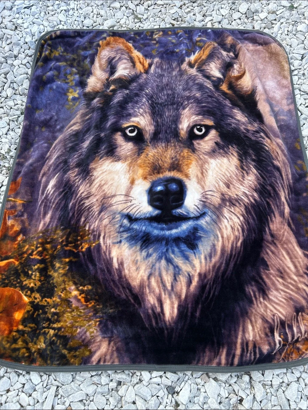 Wolf portrait throw blanket